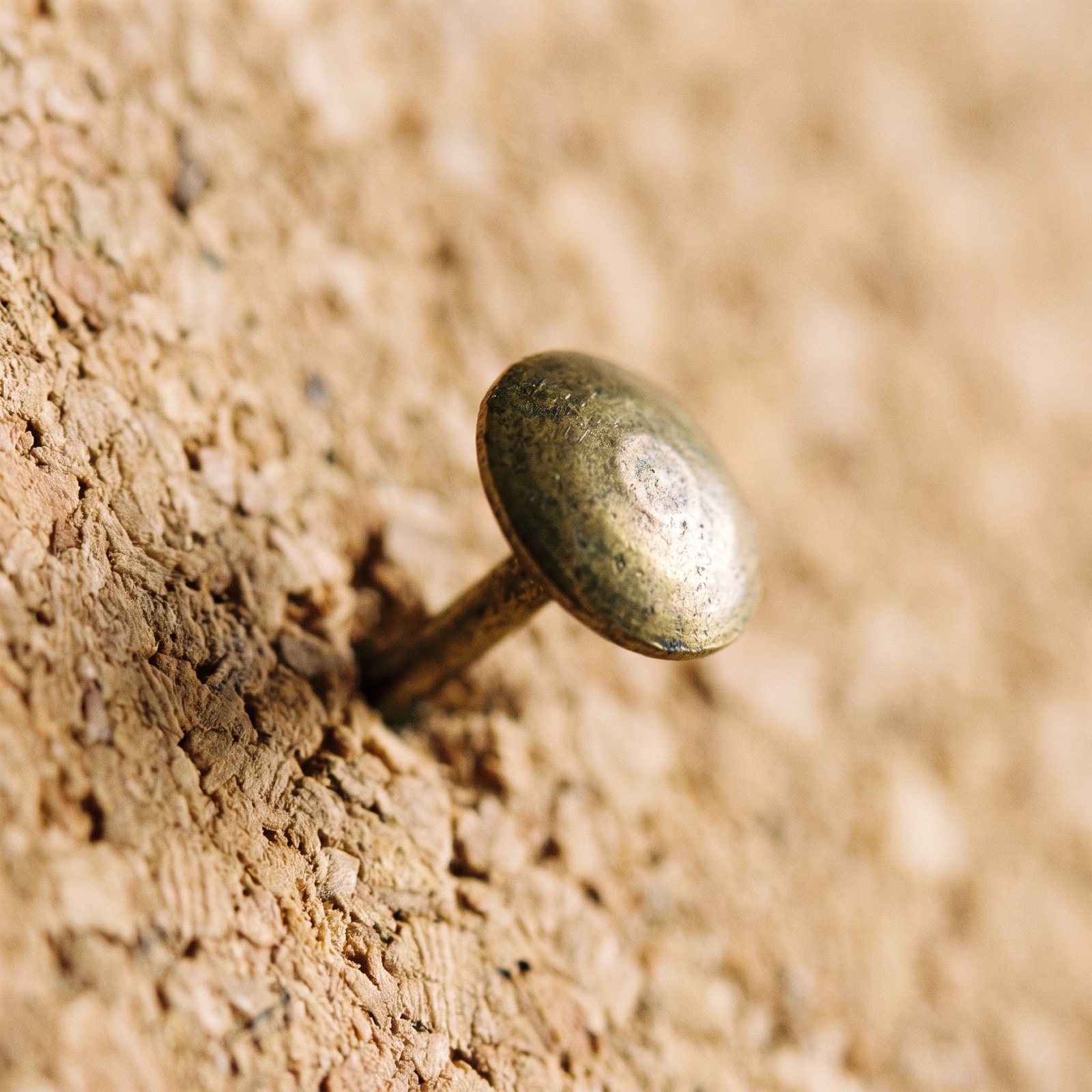 A brass drawing pin pushed into cork